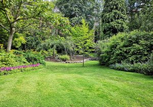 Optimiser l'expérience du jardin à Montreuil-sur-Loir